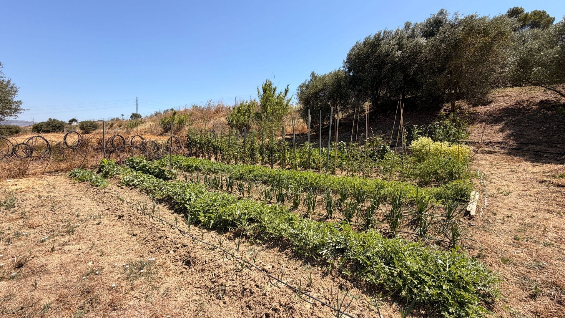 Finca te koop in Alhaurín el Grande