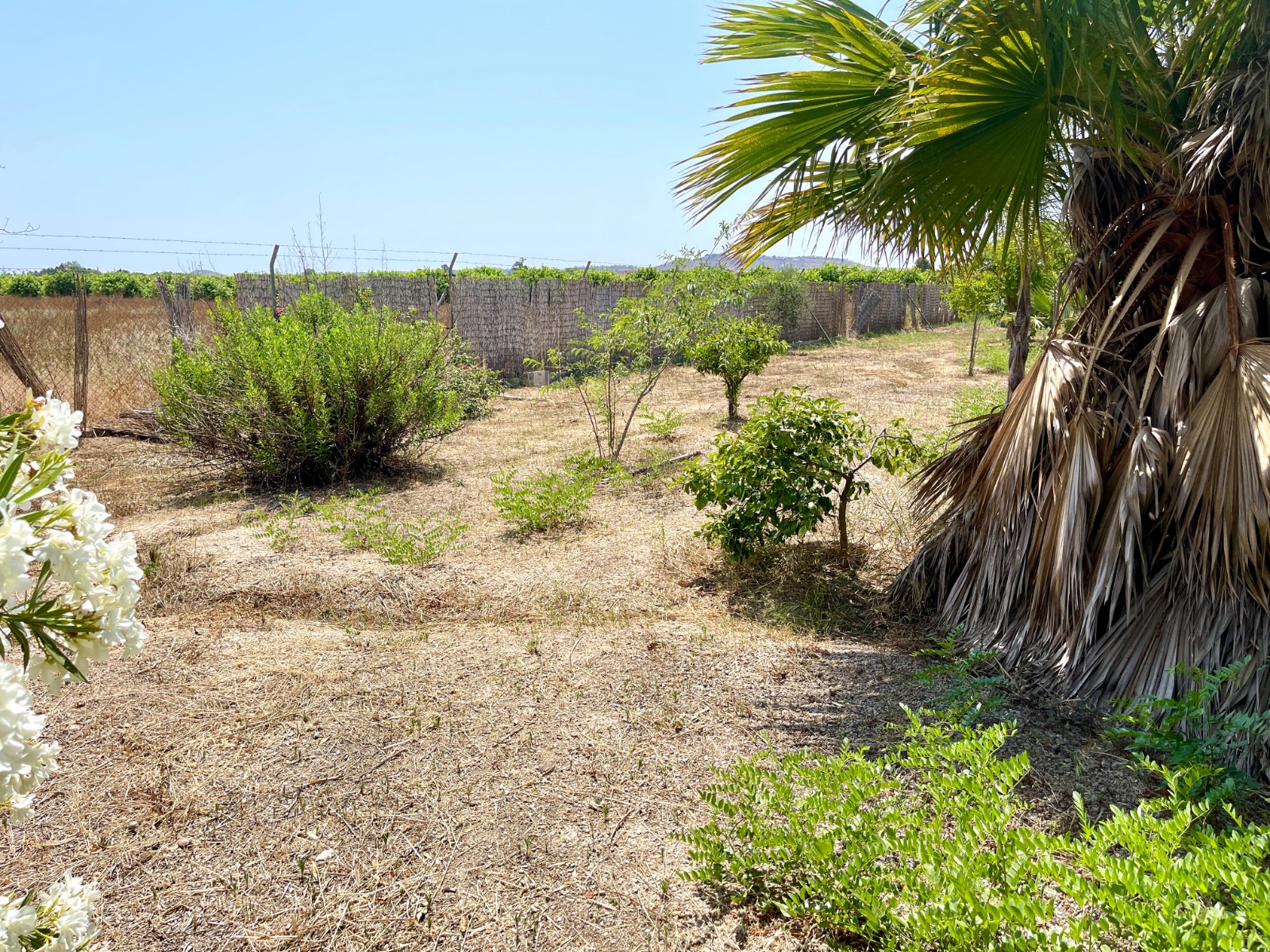 Villa te koop in Daya Nueva