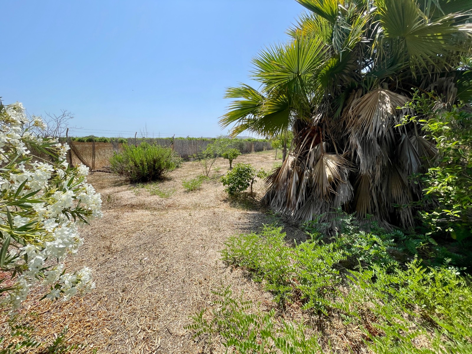 Villa te koop in Daya Nueva