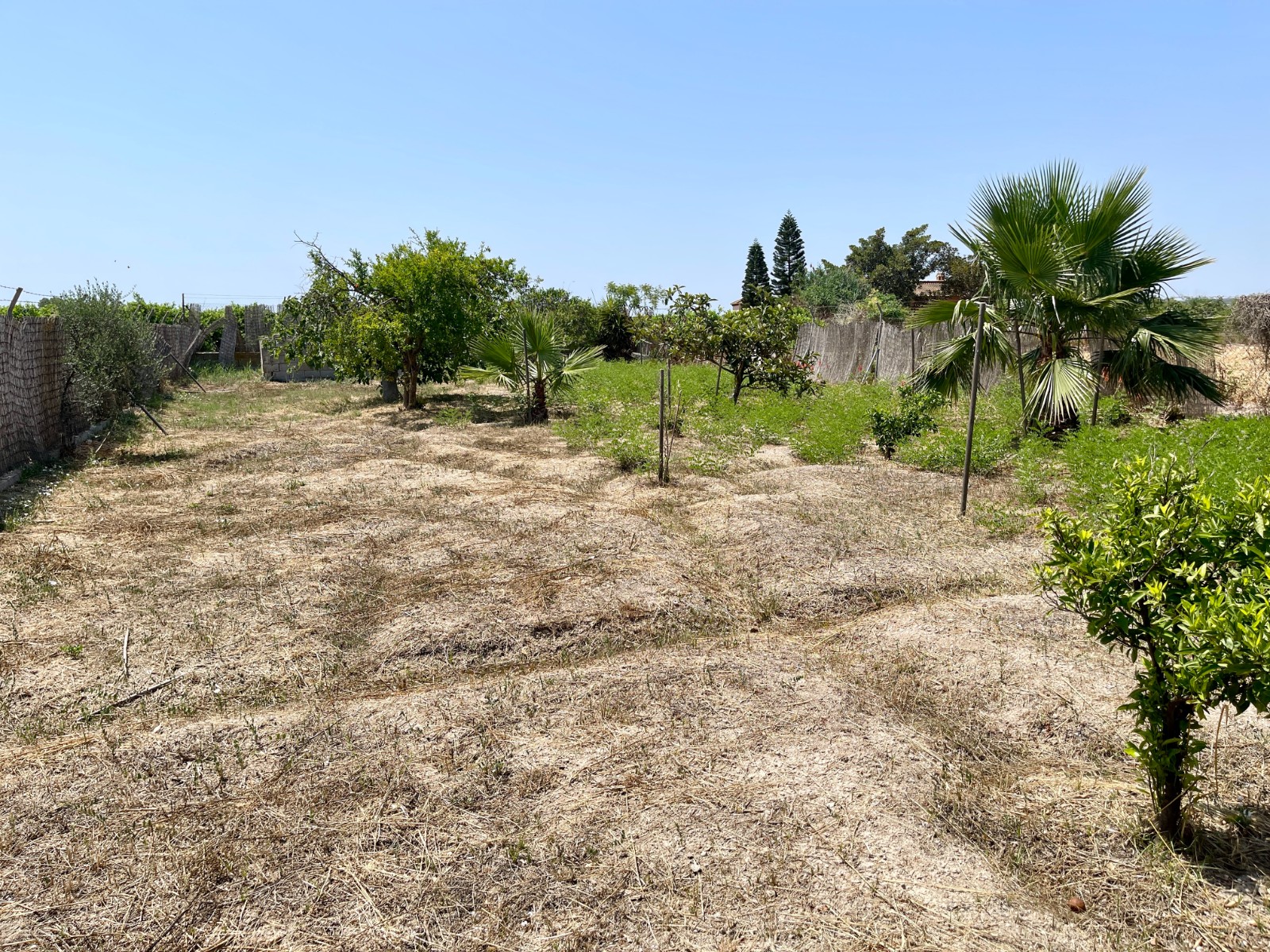 Villa te koop in Daya Nueva