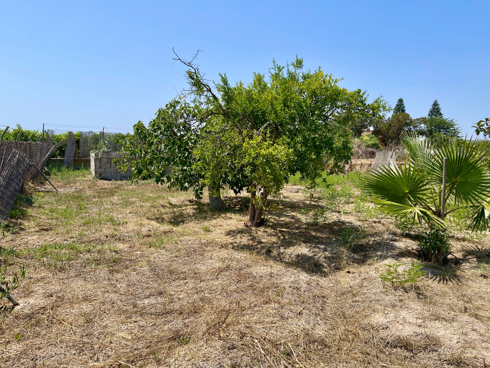 Villa te koop in Daya Nueva