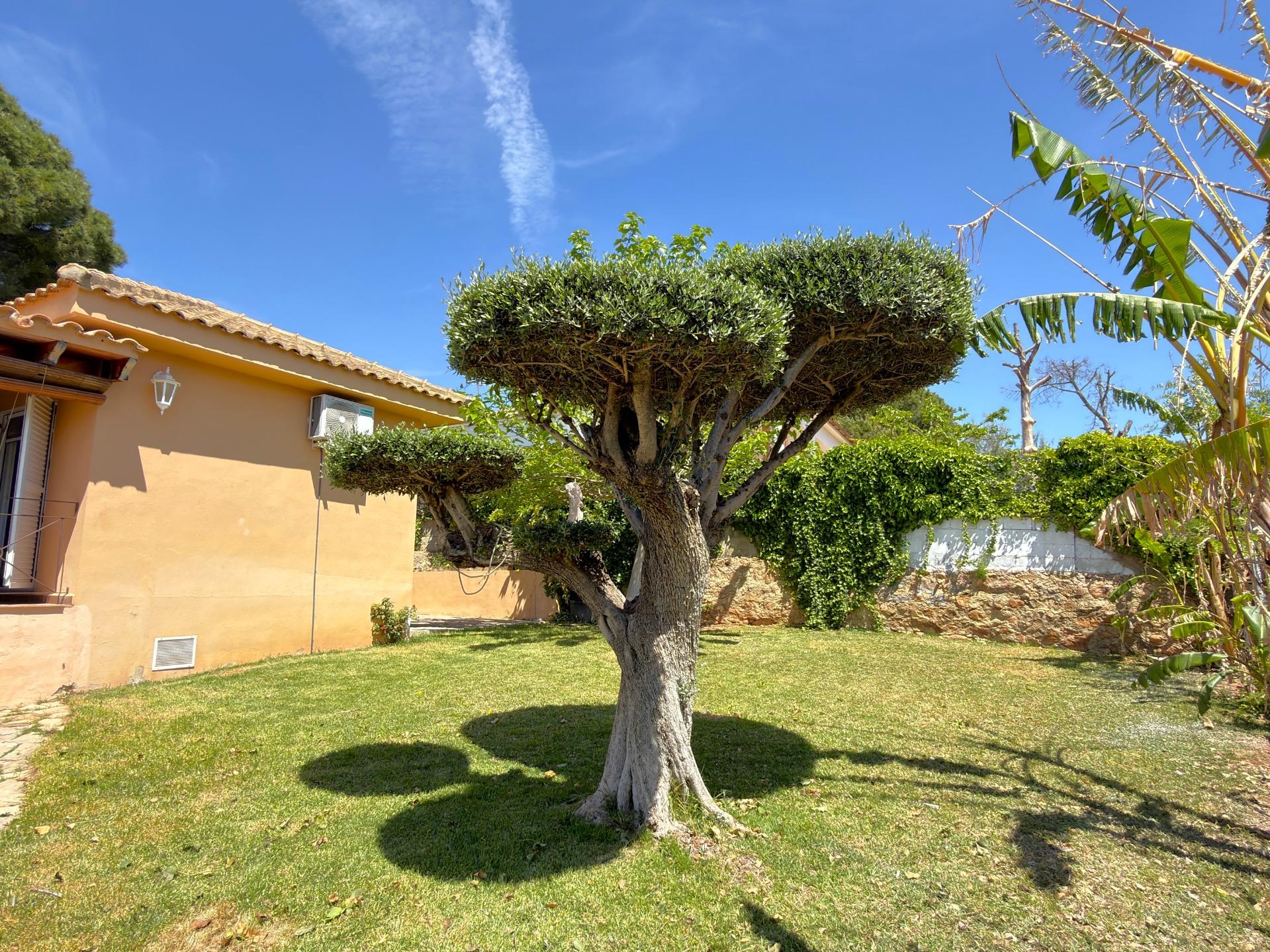 Gelijkvloerse villa te koop in Naquera