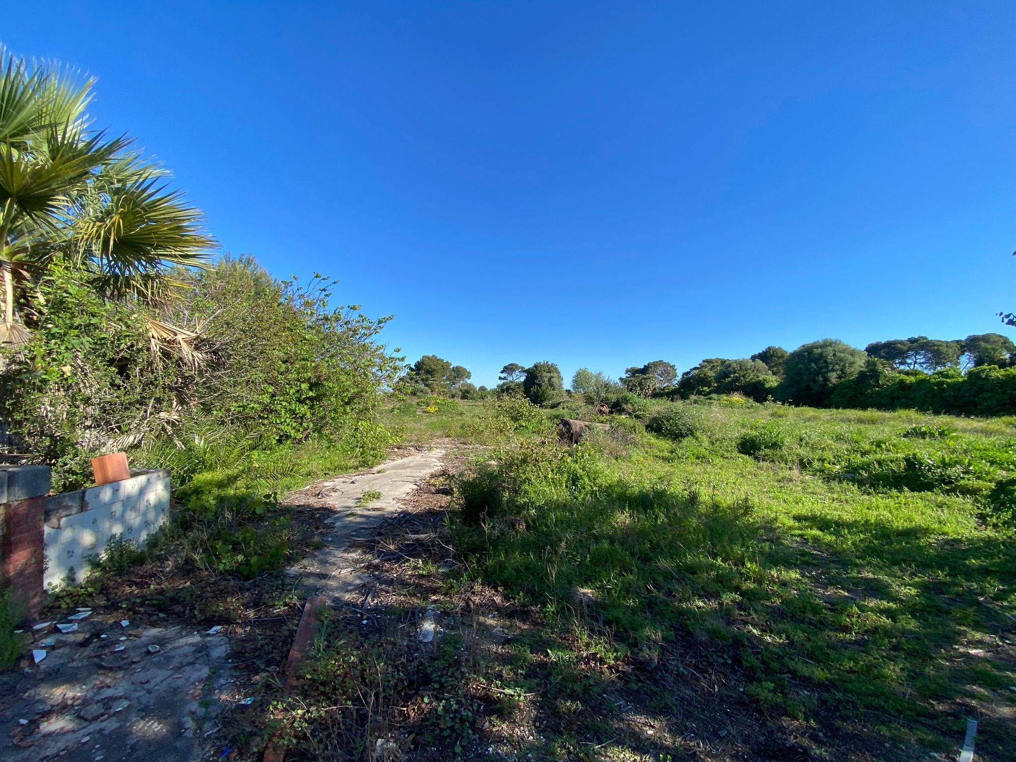 Finca te koop in Denia