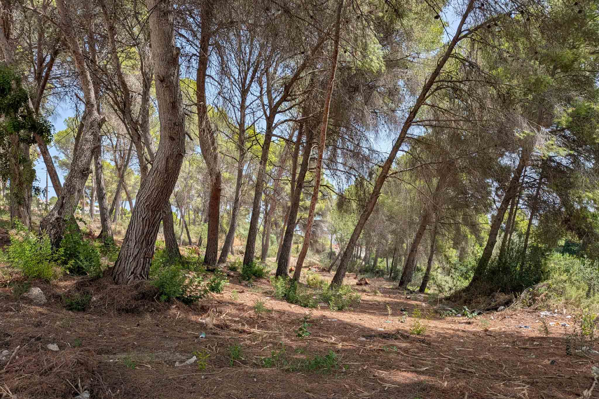 Grondstuk te koop in Moraira