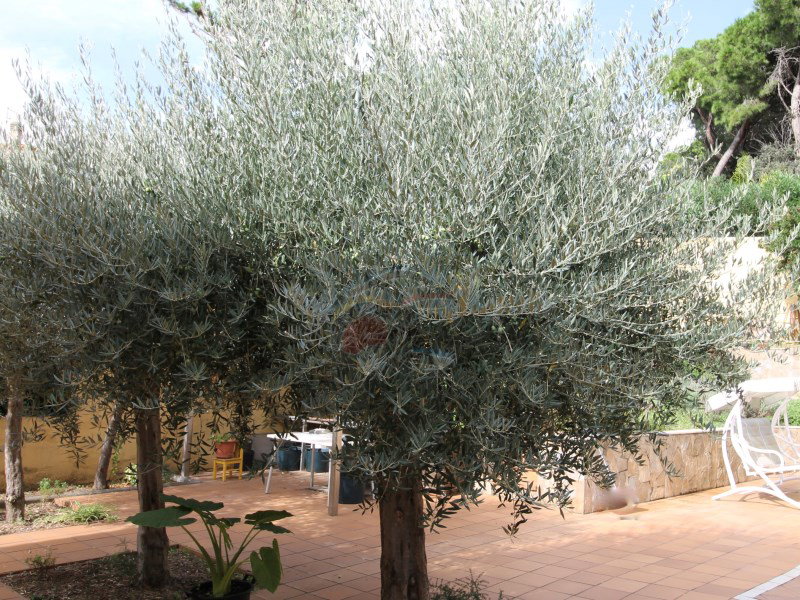 DP-37-1601-PDA-S-13 Villa te koop in Platja D’aro