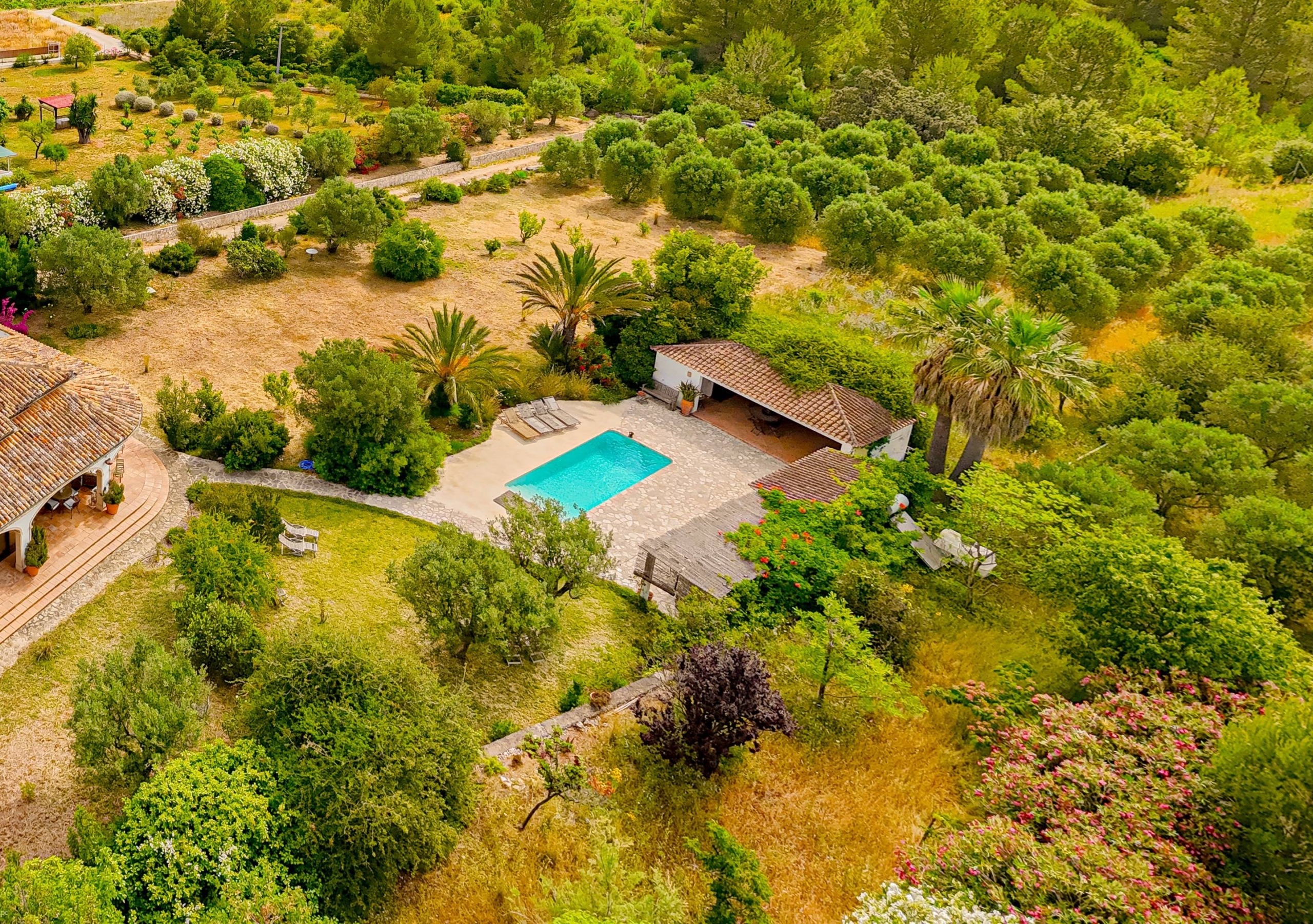 DP-71-PG67404038-4 Villa te koop in Jalon