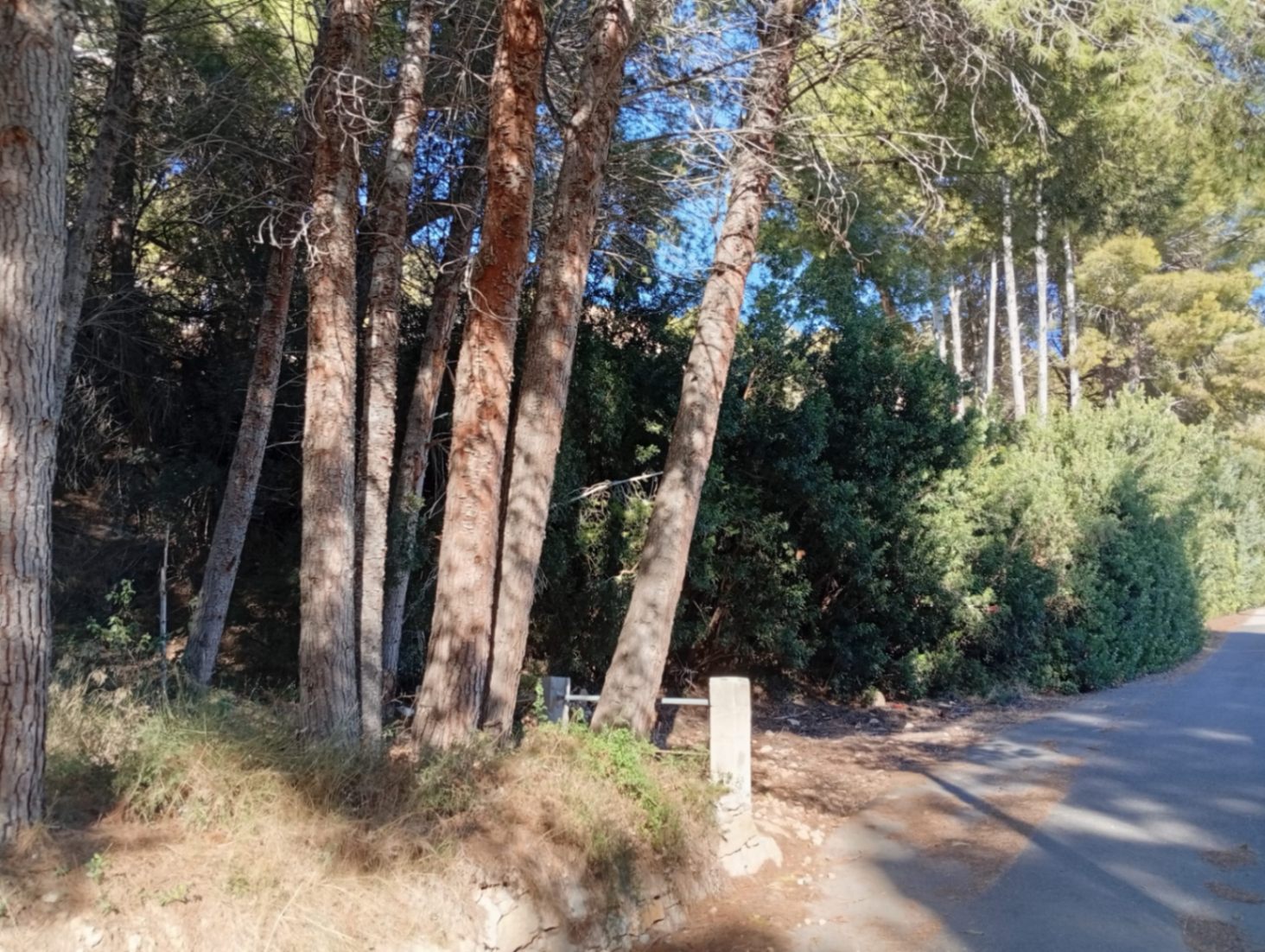 Perceel te koop in Calpe