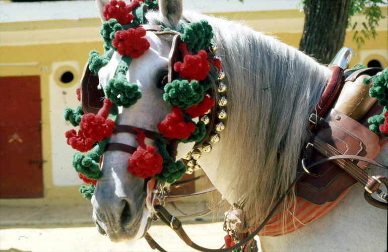 paardenfestival andalusie - feesten in spanje