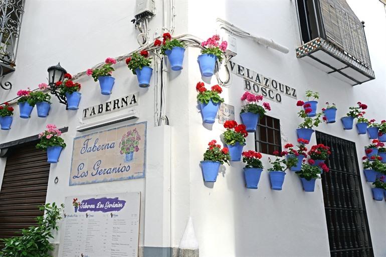 festival de patio cordoba - feesten in spanje