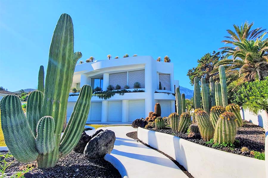 meest voorkomende fouten bij huis kopen Spanje - villa met cactus Denia